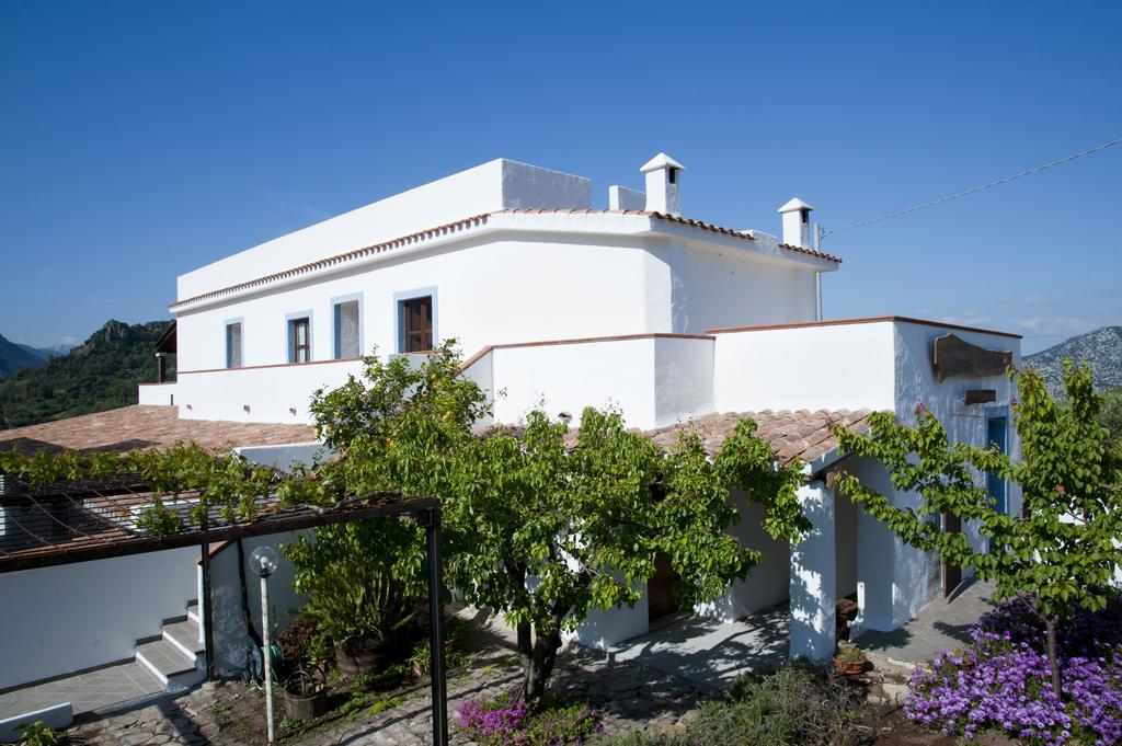 דורגלי Turismo Rurale Belvedere Pradonos מראה חיצוני תמונה